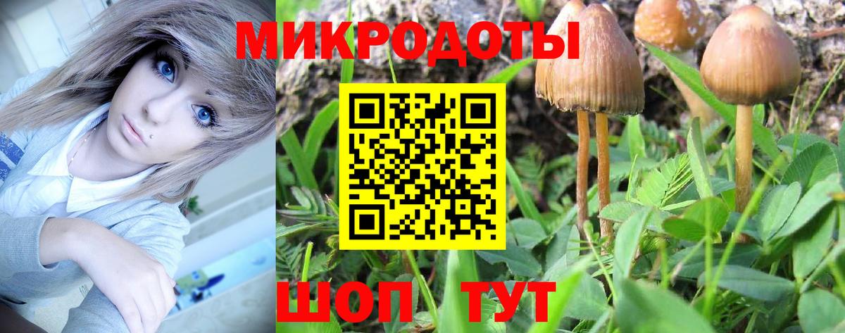 Меф  Канабис  МЕФ   Гашиш  Назрань  ГАШ  Вход с VPN 